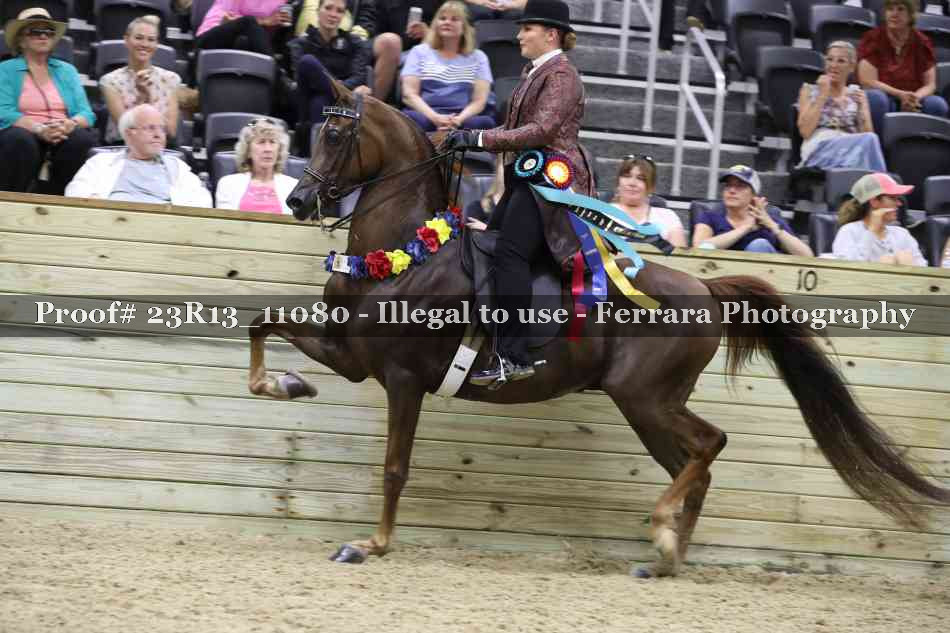 Proof 23R13_11080