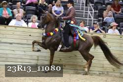 23R13_11080 proof