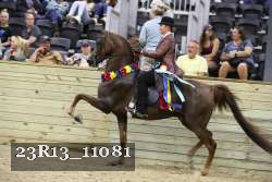 23R13_11081 proof