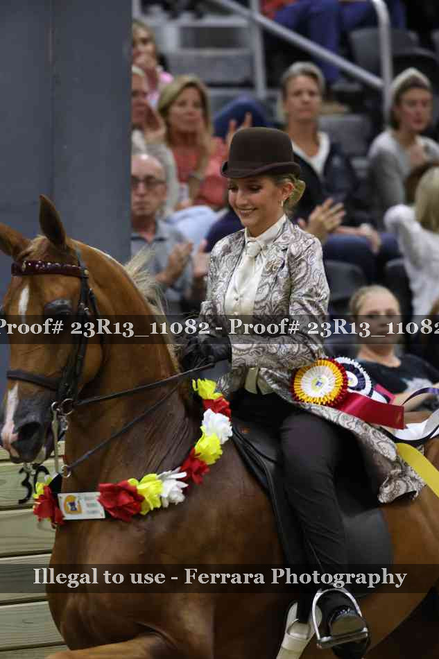 Proof 23R13_11082