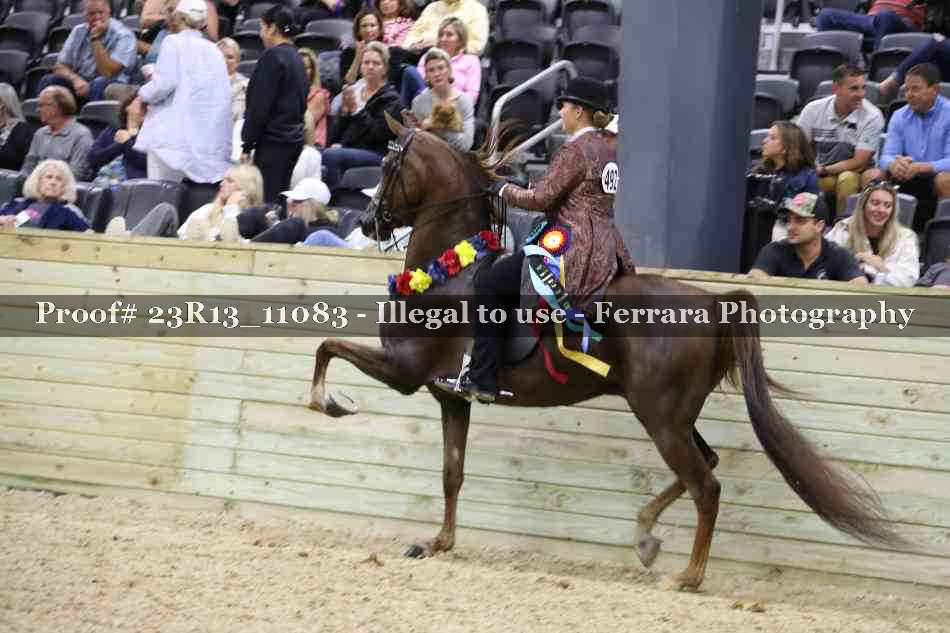 Proof 23R13_11083