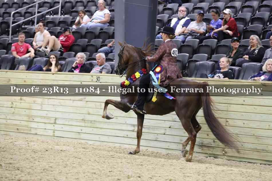 Proof 23R13_11084