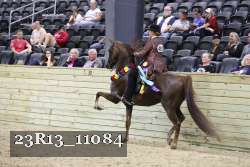 23R13_11084 proof