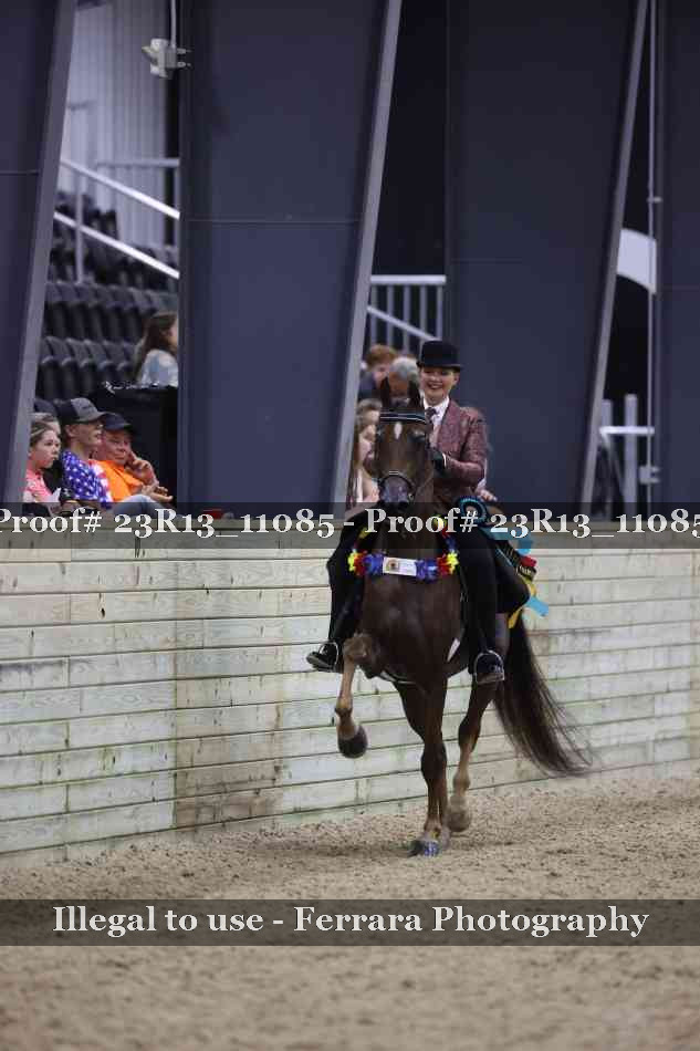 Proof 23R13_11085