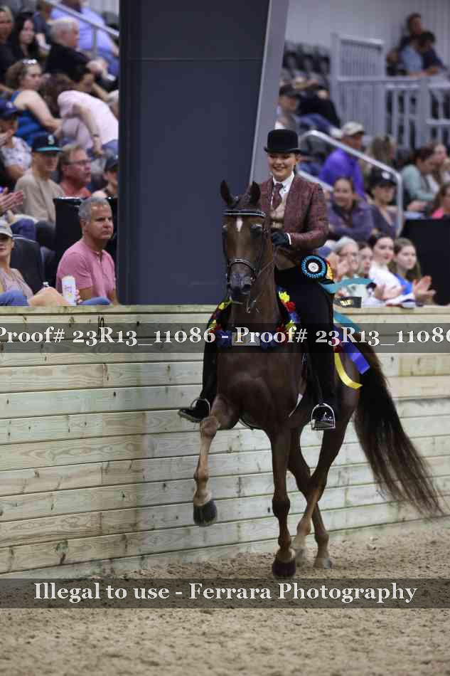 Proof 23R13_11086
