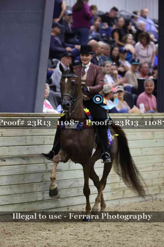 Proof 23R13_11087