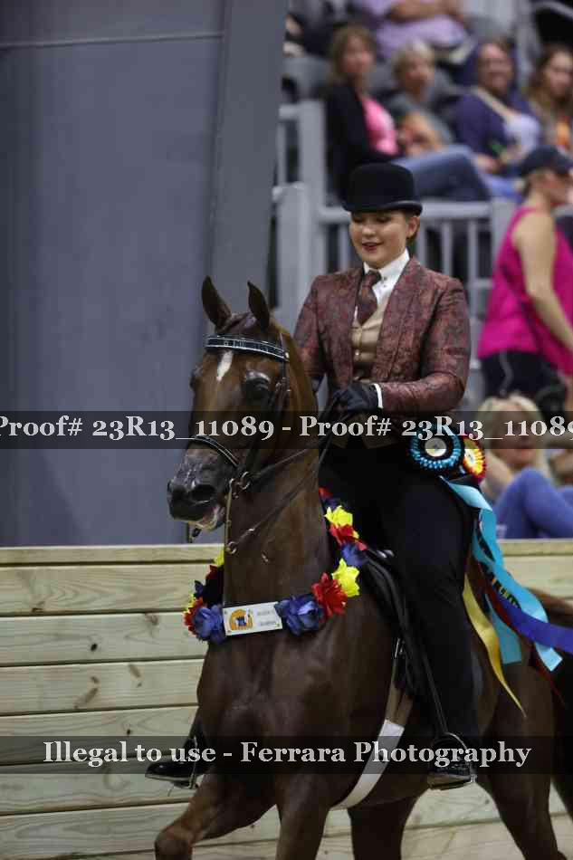 Proof 23R13_11089