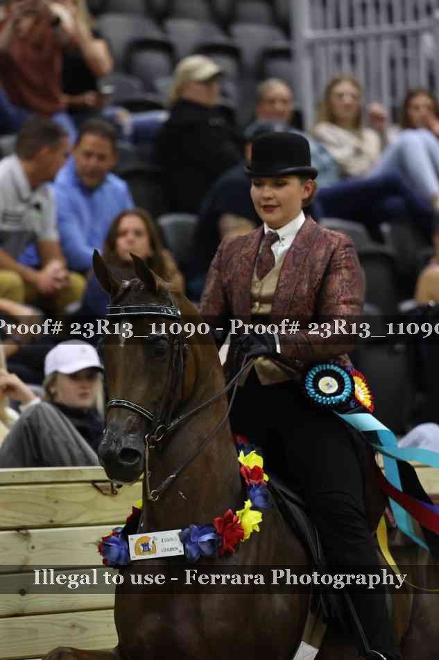 Proof 23R13_11090
