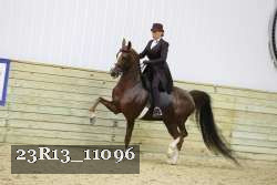 23R13_11096 proof