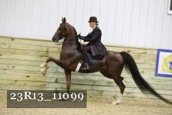 23R13_11099 proof