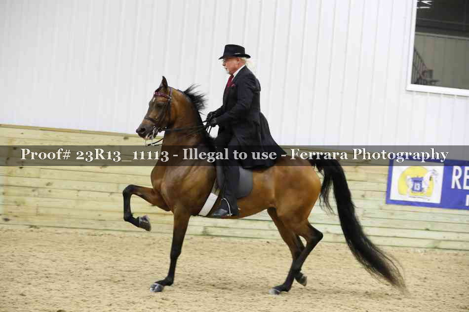 Proof 23R13_11113