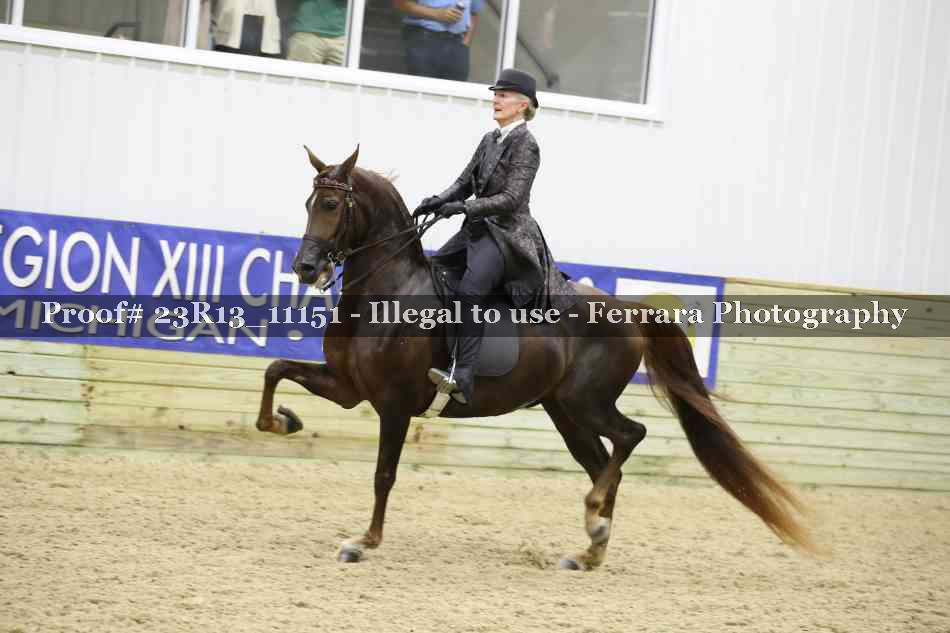 Proof 23R13_11151