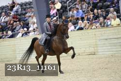 23R13_11161 proof
