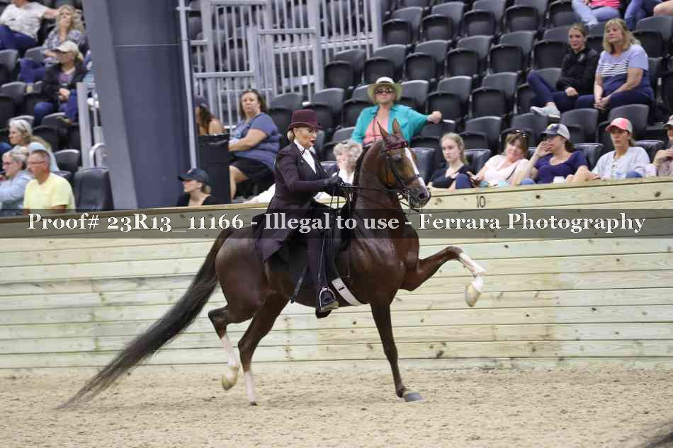 Proof 23R13_11166