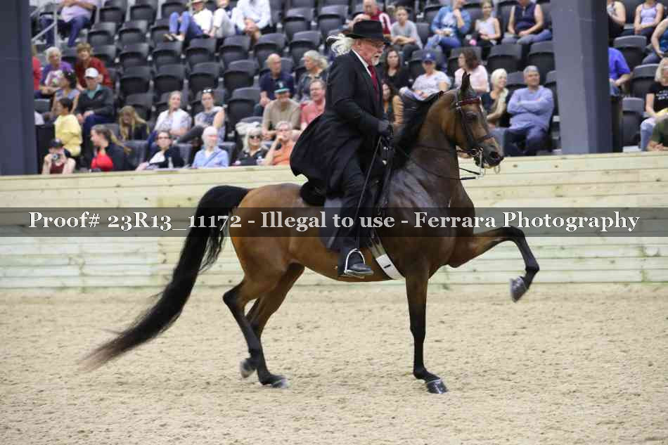 Proof 23R13_11172