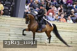 23R13_11191 proof