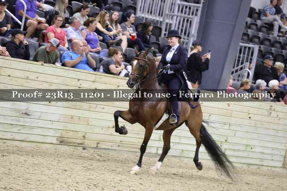 Proof 23R13_11201