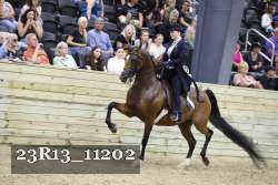 23R13_11202 proof