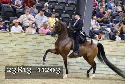 23R13_11203 proof