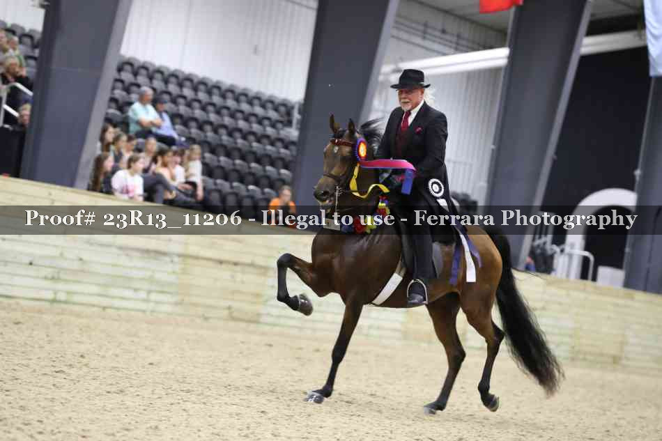 Proof 23R13_11206