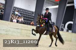 23R13_11206 proof
