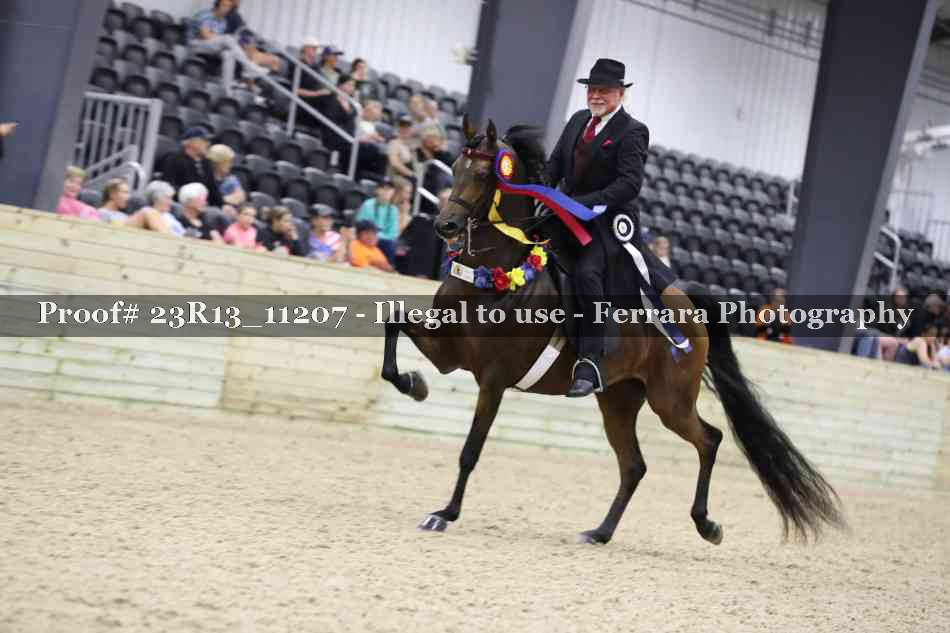 Proof 23R13_11207