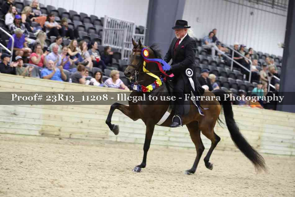 Proof 23R13_11208
