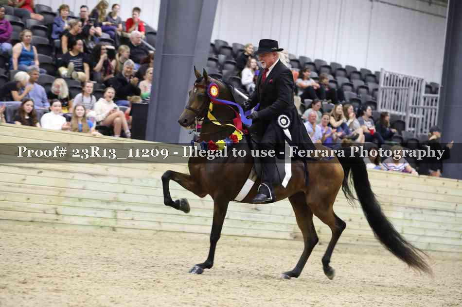 Proof 23R13_11209