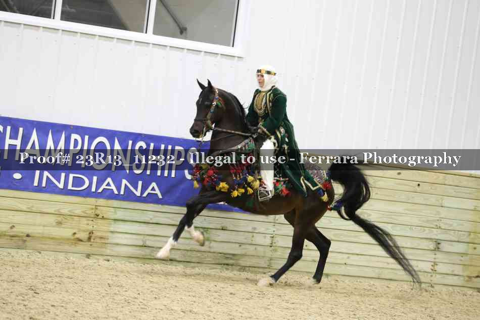 Proof 23R13_11232