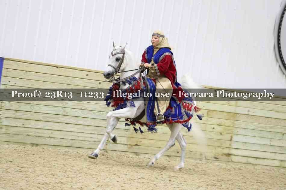 Proof 23R13_11233