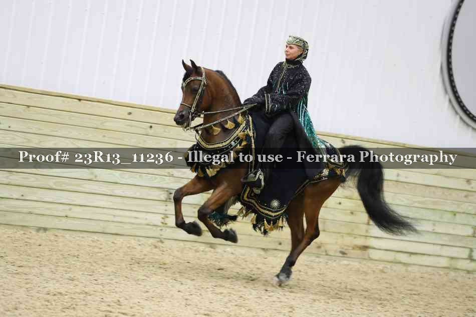 Proof 23R13_11236