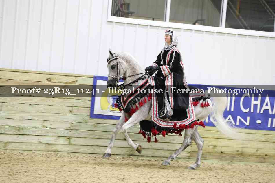 Proof 23R13_11241