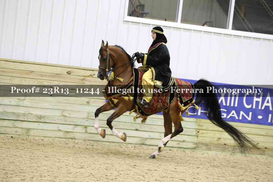 Proof 23R13_11244