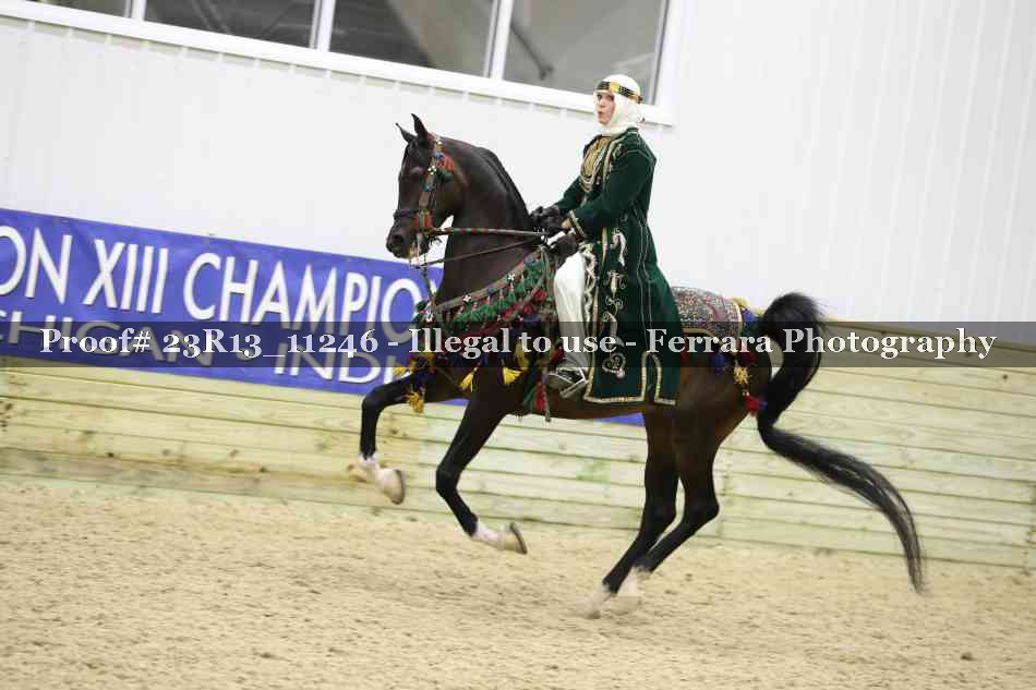 Proof 23R13_11246