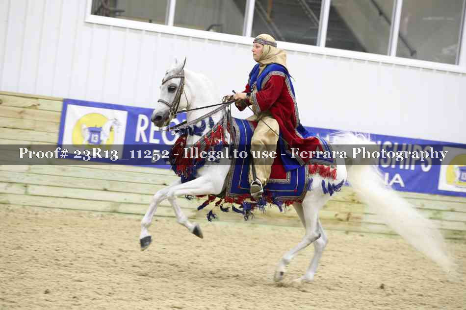 Proof 23R13_11252