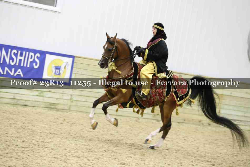 Proof 23R13_11255