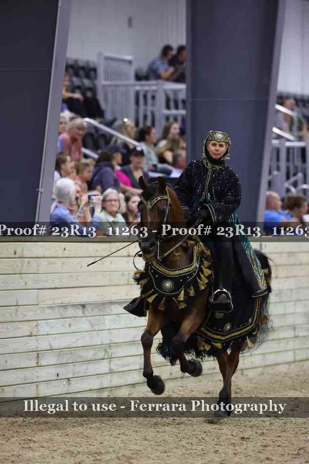 Proof 23R13_11263