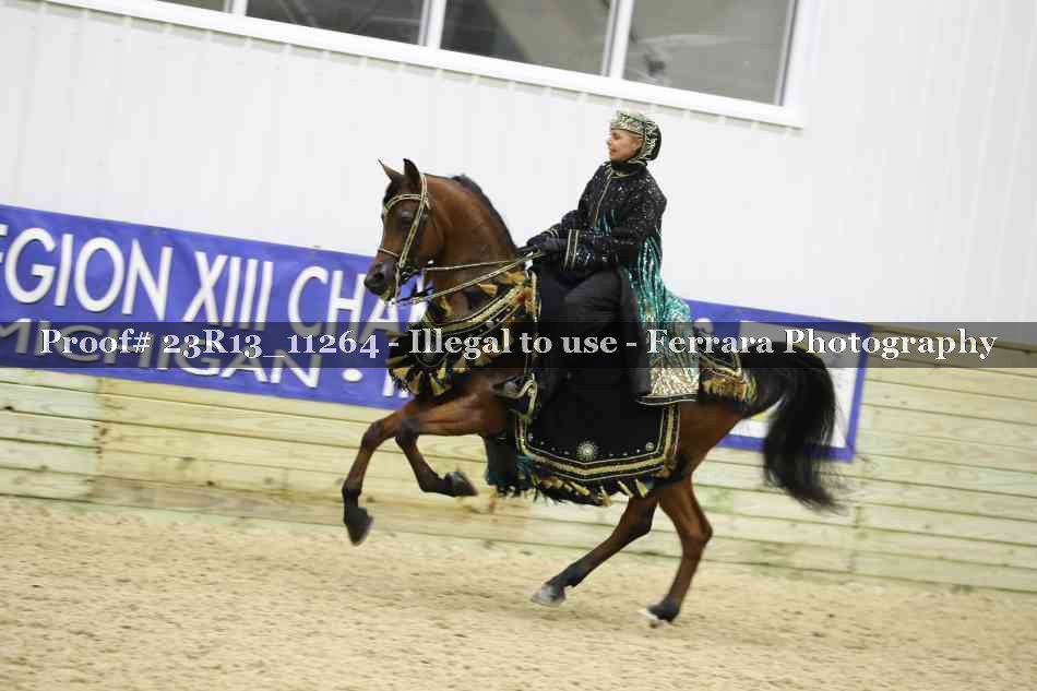 Proof 23R13_11264