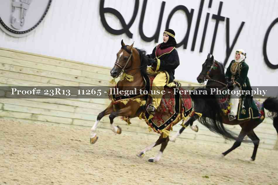 Proof 23R13_11265