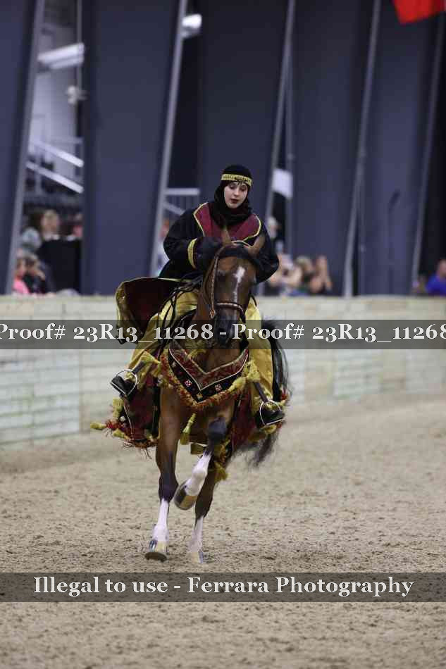 Proof 23R13_11268