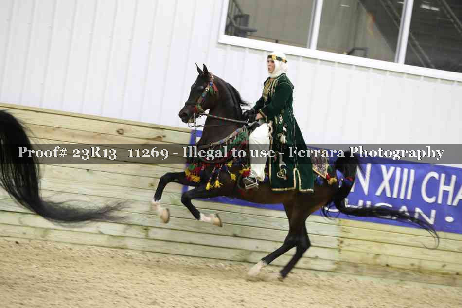 Proof 23R13_11269