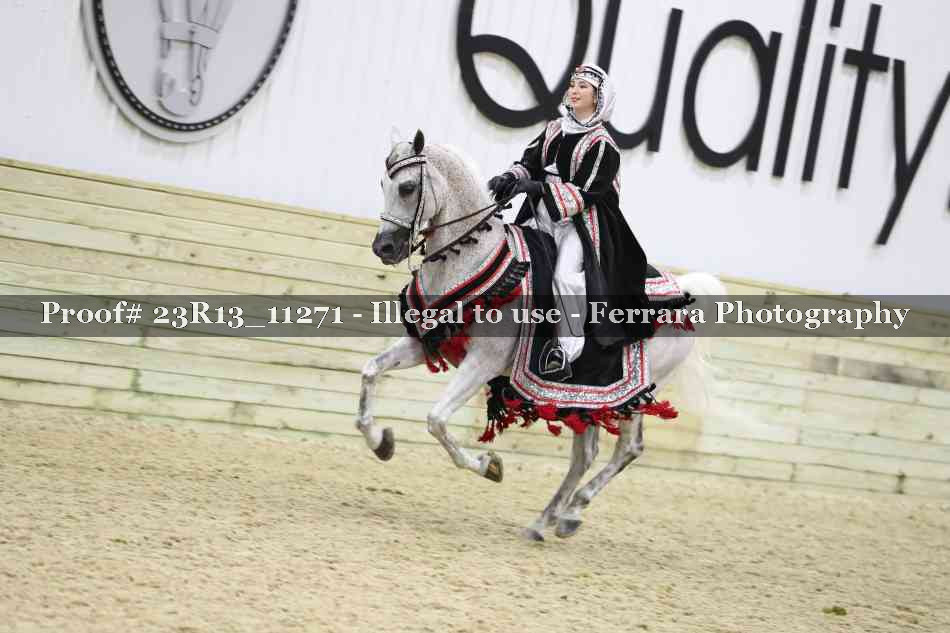 Proof 23R13_11271
