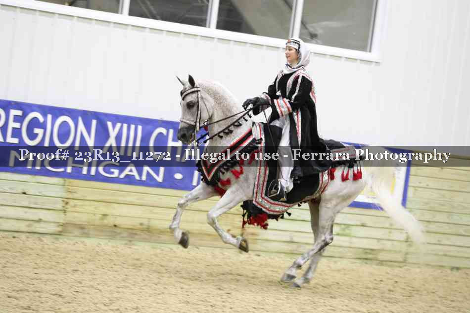 Proof 23R13_11272