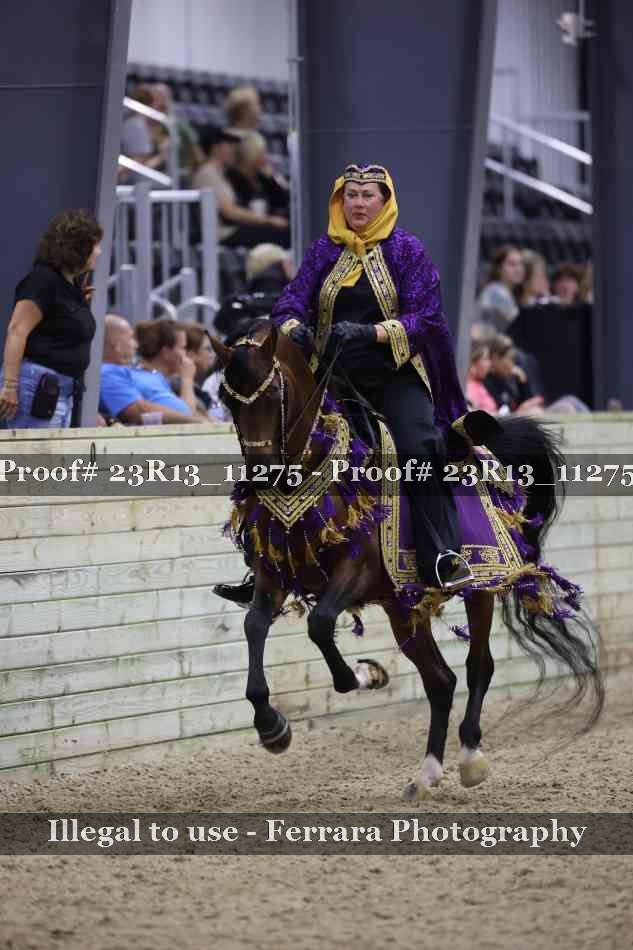 Proof 23R13_11275