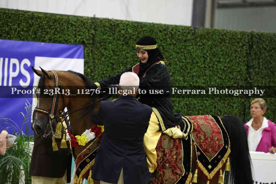 Proof 23R13_11276