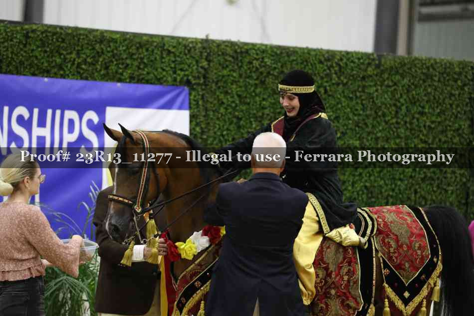 Proof 23R13_11277