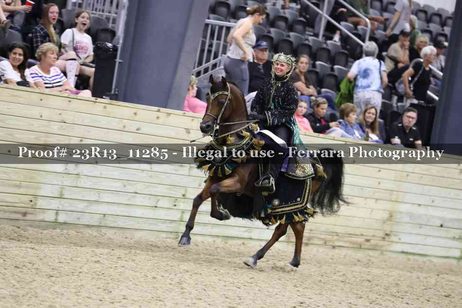 Proof 23R13_11285