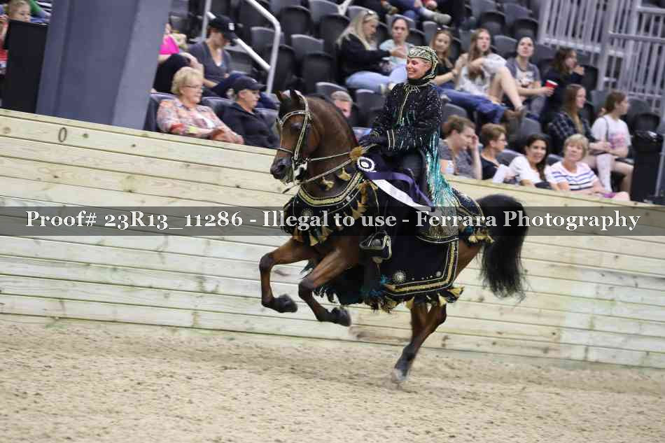 Proof 23R13_11286