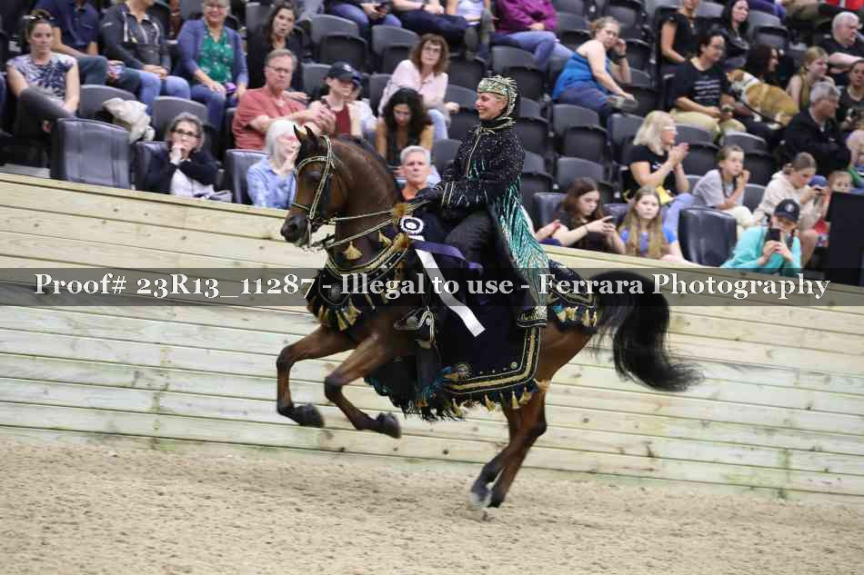 Proof 23R13_11287