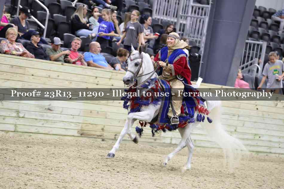 Proof 23R13_11290